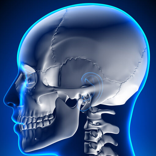 Multidisciplinary Center For Craniofacial Reconstruction